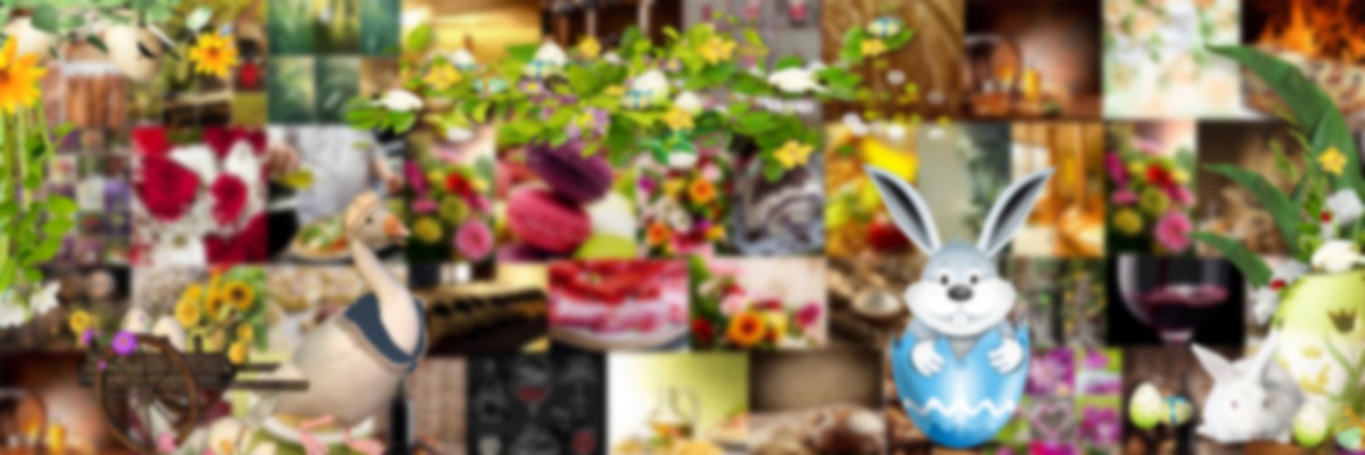 Aller sur Zoom sur un commerçant